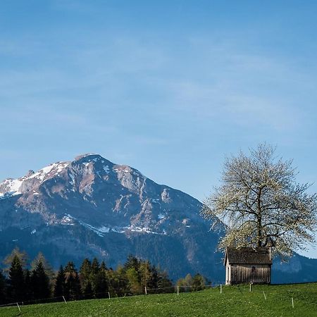 Cityapartments Schwaz Exteriör bild