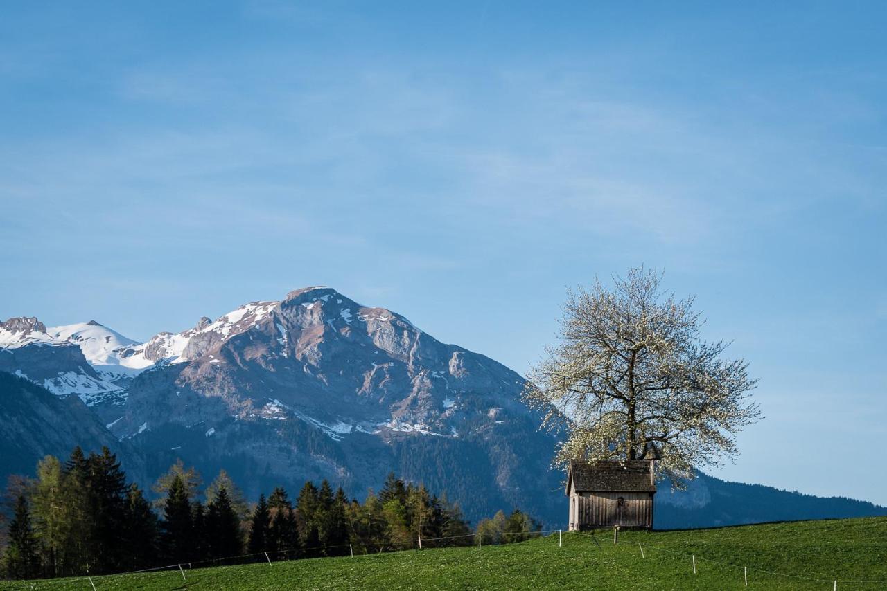 Cityapartments Schwaz Exteriör bild